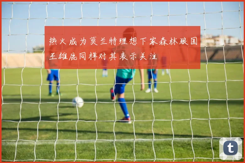 热火成为莫兰特理想下家森林狼国王雄鹿同样对其表示关注
